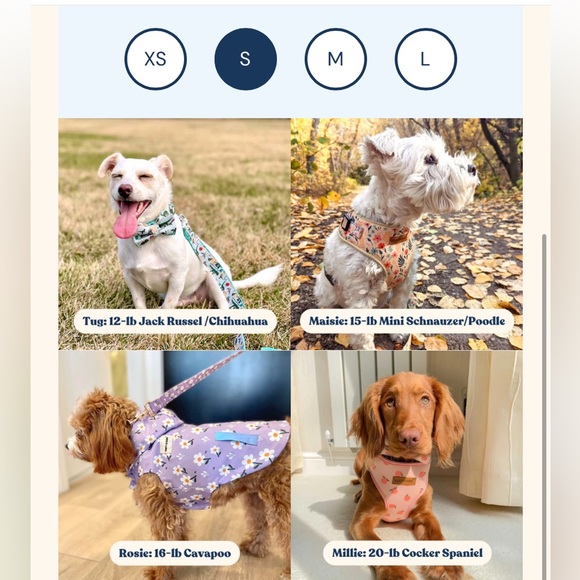 Sniff & Bark dog collar | SMALL | yellow ochre sun print - Picture 3 of 4